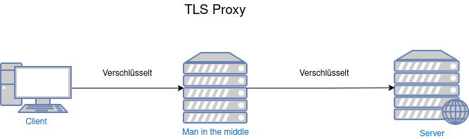 drawio: ssl-mitm-v-v ssl-mitm-v-v