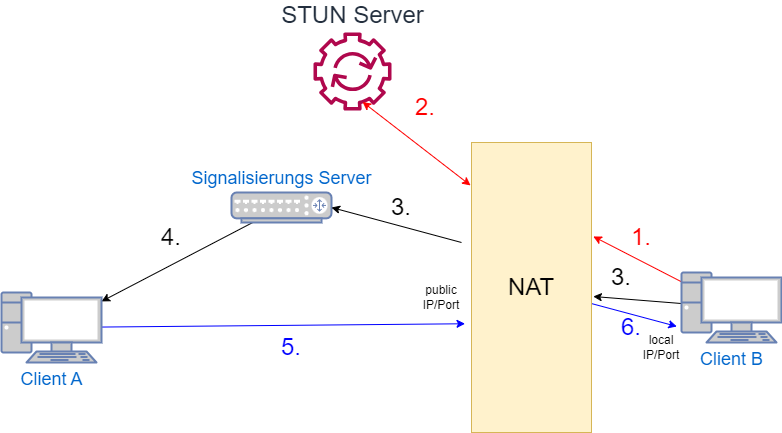 sip-rdp-irrsinn-3