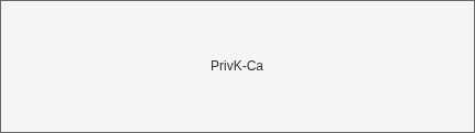 TLS CA PrivK