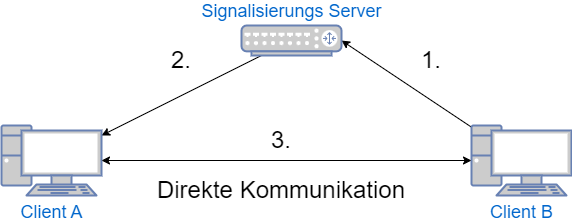 sip-rdp-irrsinn-1