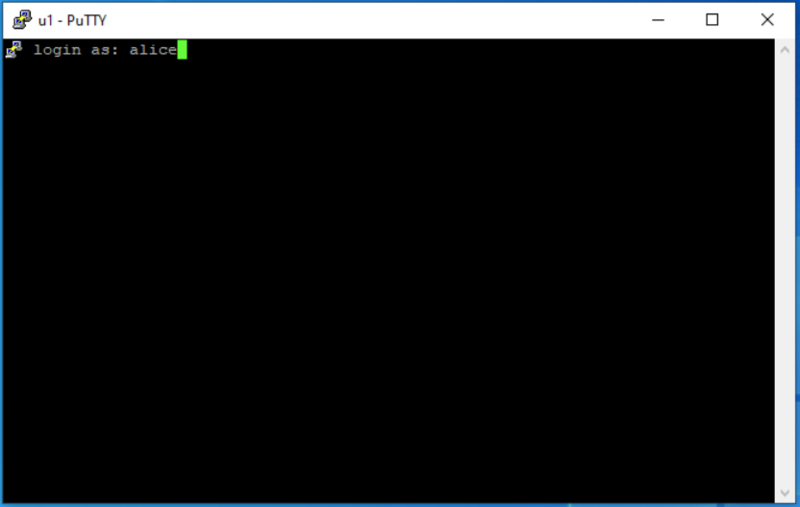 Datei:Putty-3.png