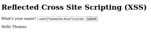 Cross-Site-Scripting-Reflected-13.png