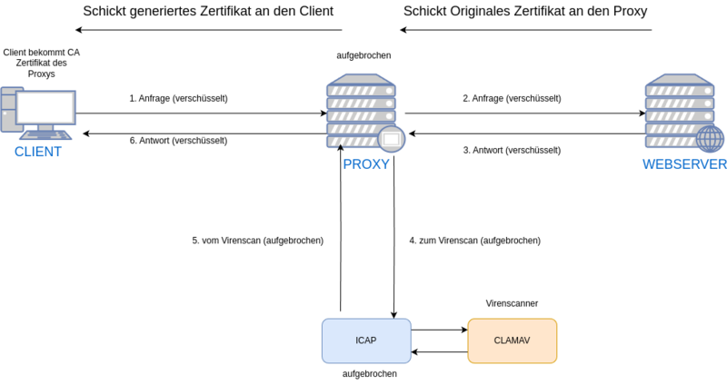 Datei:I-cap-clam-av.drawio.png